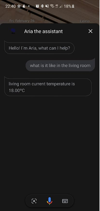 Google assistant screenshot